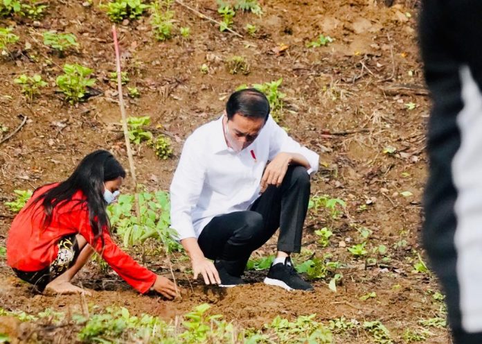 Presiden Jokowi Tanam Pohon Bersama Masyarakat Lombok Tengah