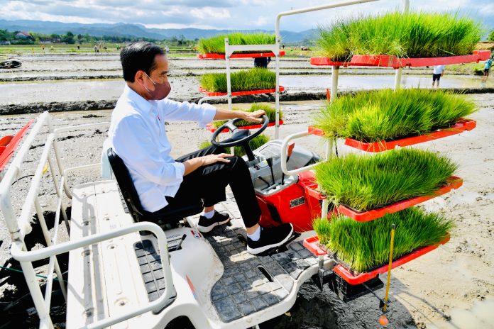 Stok Mencukupi, Indonesia Belum Pernah Impor Beras Tahun Ini